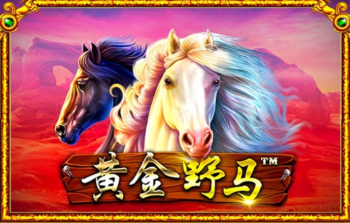 南宫28圈官网